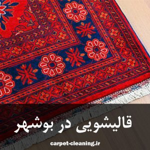 قالیشویی در بوشهر